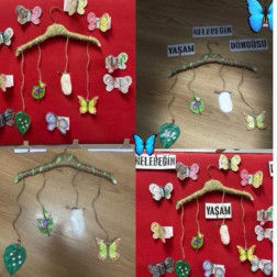 Nar Meyvesini Tanıyoruz