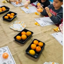 Mandalina Soyma – Duyu ve İnce Motor Çalışması