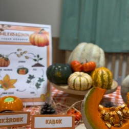 Kabağı Keşfediyoruz