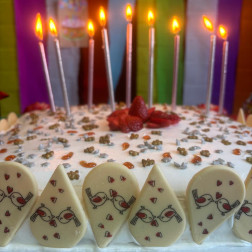 BİR YAŞ BÜYÜDÜM PARTİSİ