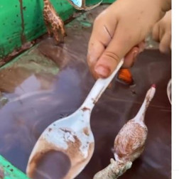 Açık Havada Öğrenmenin Keyfi