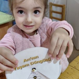 Arının Yaşam Döngüsünü Öğreniyorum