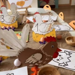 Tavukların Yaşam Döngüsünü Öğreniyorum