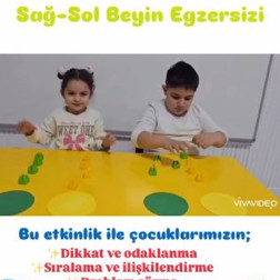 Bilişsel Gelişim: Sağ–Sol Beyin Egzersizi