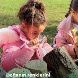 Meraklı Gözler İş Başında: Doğanın Gizemli Dünyasını Keşfediyoruz!