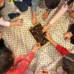 🌰 Doğadan Sınıfa: Dokun, Hisset ve Keşfet!