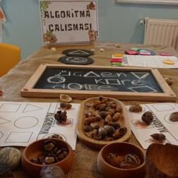 Minik Ellerle Büyük Mantıklar: Doğal Materyallerle Algoritma Çalışmamız