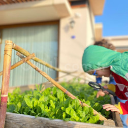 🌿 Minik Kaşifler İş Başında: Doğayı Yerinde ve Dokunarak Öğreniyoruz