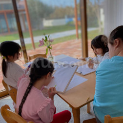 🎨 Minik Ellerden Büyük Hayaller: Sanat ve Doğa İç İçe