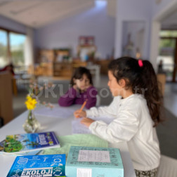 🌍 Doğayı Anlamak: Gözlemden Araştırmaya Yolculuk