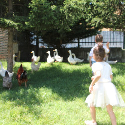 🌿 Minik Kaşifler Doğanın Kalbinde: Dokunarak, Hissederek ve Yaşayarak Öğreniyoruz