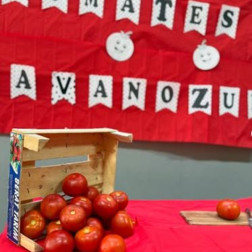 🍅 Kışın Güneşi Kavanozlara Sığdı: Miniklerin Domates Şenliği! 🍅