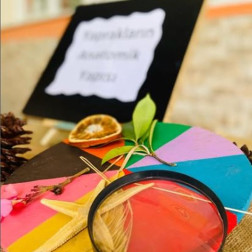 🌿 Doğanın Büyülü Merceği: Yaprakların Gizemli Dünyasını Keşfediyoruz!