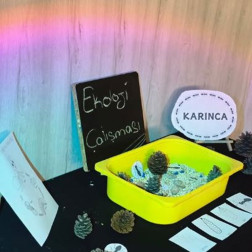 🐜 Minik Kaşifler İş Başında: Karıncaların Dünyasını Tanıyoruz!