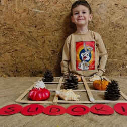 🧩 Küçük Parmaklar, Büyük Zihinler: Doğal Malzemelerle Sudoku!