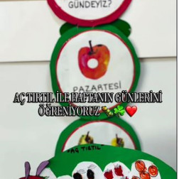 🐛 Minik Eller, Renkli Günler: Aç Tırtıl ile Haftayı Keşfediyoruz!