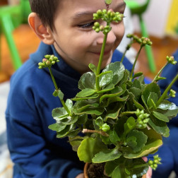 🌱 Küçük Eller, Büyük Heyecanlar: Doğanın Mucizesine Dokunuyoruz!