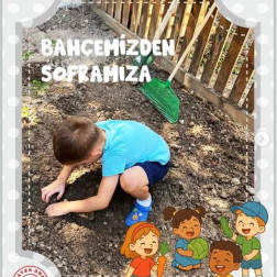 Bahçemizden Soframıza: Minik Ellerin Büyük Mucizesi! 🥬🥕