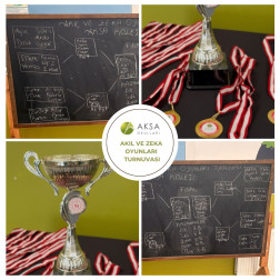 ZEKA OYUNLARI TURNUVAMIZ