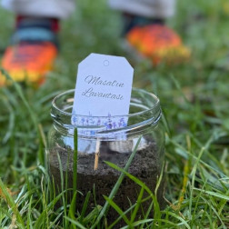 Topraktan Yükselen Koku: Lavanta