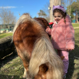 🐒 Minik Kaşifler Doğayı Keşfediyor: Hayvanat Bahçesi Gezimiz!