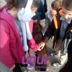 Ataşehir Hayvan Bakımevi’nde Mutlu Bir Gün