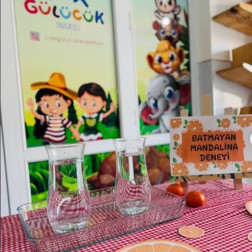 🍊 Küçük Bilim İnsanları İş Başında: Batmayan Mandalina!