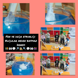 Kuğular Suda Nasıl Kalır? 🦢✨