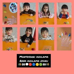 🎨 Renklerin Dünyasında Küçük Kodlamacılar! 🧠