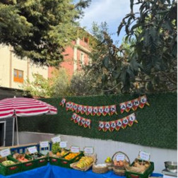 Akademisyen Anne Semt Pazarı Kuruldu!