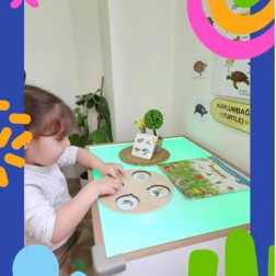 🐢 Işığın Büyüsünde Yaşam Döngülerini Keşfediyoruz!