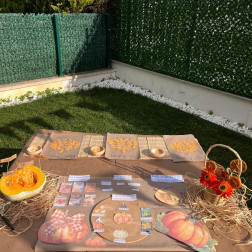 BALKABAĞI ANTROPOLEJİSİ