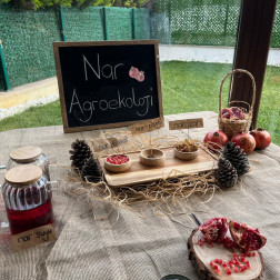 NAR AGROEKOLOJİ
