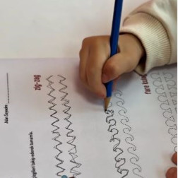 Çizgi Çalışmaları Neden Önemli?