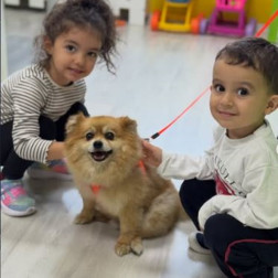 🐾 Sevgiyle Büyüyen Minik Kalpler: Hayvan Hakları Günü!