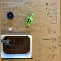 🌱 Küçük Eller Toprakla Buluşuyor: Tohumdan Çiçeğe Yolculuk!