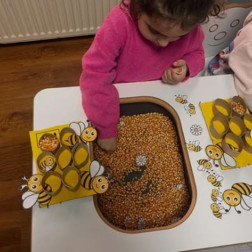 Arılarla Duyusal Keşif