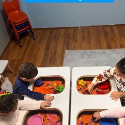 Renklerle Duyusal Keşif