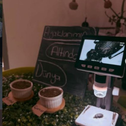 Merakla Keşfet: Mikroskopla İnceleme