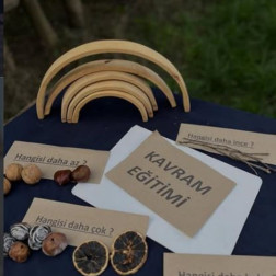 Kavram Eğitimi ile Öğrenmenin Temelleri