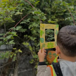 Doğayı Keşfediyorum: Gözlem Çerçevesi Etkinliği