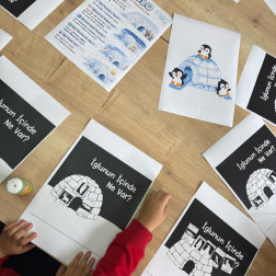 GEMS Atölyesi: Buzullar ve İglo Tasarımı