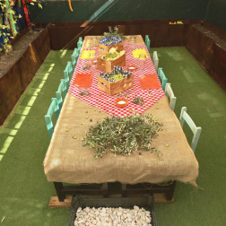 ZEYTİN HASADI & DOĞA SOFRASI ETKİNLİĞİ