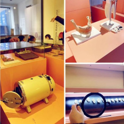 🐄 Minik Parmaklar İş Başında: Çiftlik Hayvanlarını Tanıyoruz!