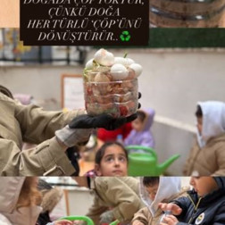 Doğanın Dönüşüm Mucizesine Tanıklık Ediyoruz! 🌿