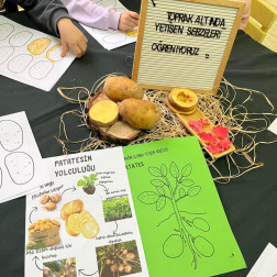 TOPRAK ALTINDA YETİŞEN SEBZELERİ ÖĞRENİYORUZ