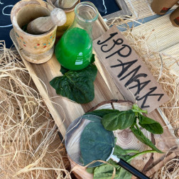 ISPANAK AGROEKOLOJİSİ