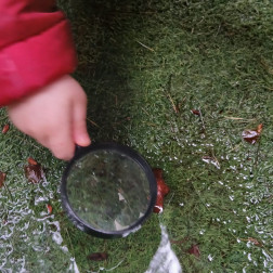 Doğayı Keşfediyorum: Yaprak İnceleme Etkinliği