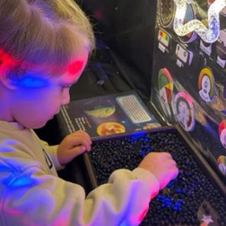 Duyusal Keşif Alanında Işık ve Dokular