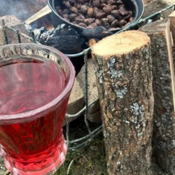 Doğada Kestane Keyfi